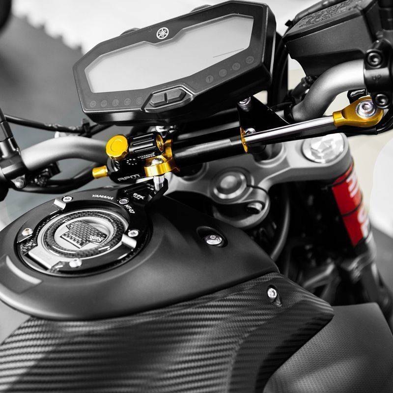 防甩頭(轉向穩定器)